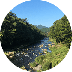 他サービスの案内